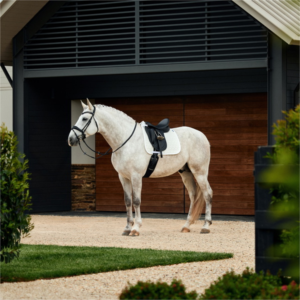 2026 WeatherBeeta Suede Elite Air-Tec Dressage Saddle Pad 1030346 - White
